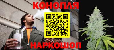 стаф Бугуруслан