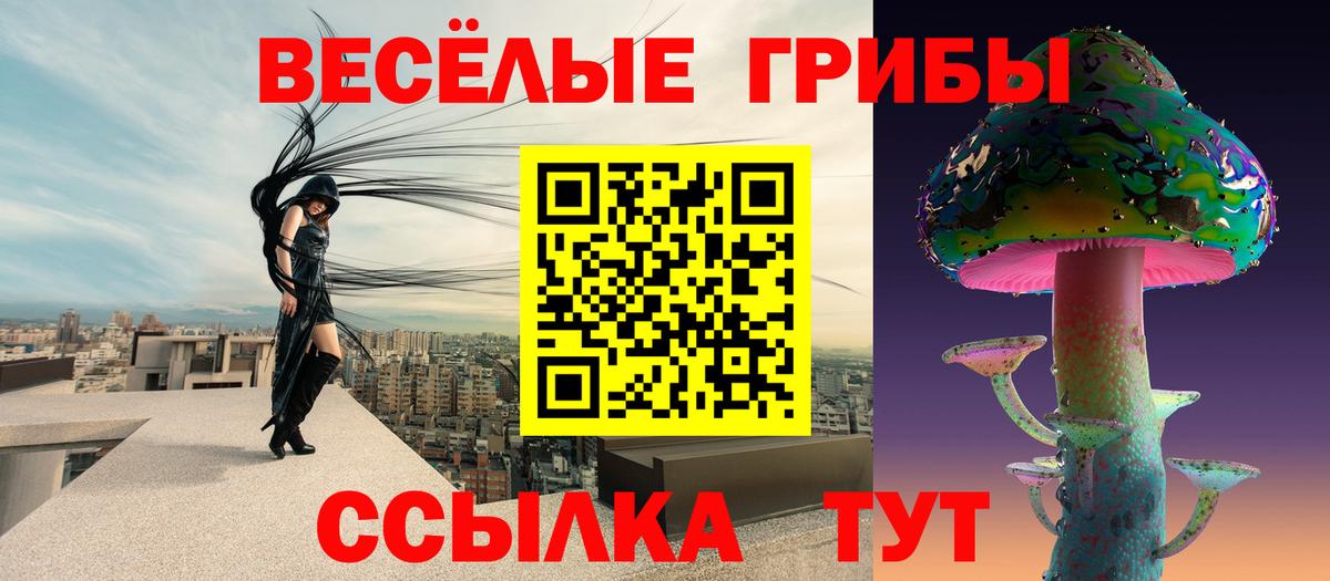 Галлюциногенные грибы ЛСД  Вход с VPN  Новошахтинск 